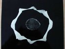 Prog/Psych Epidermis “Genius Of Original Force” Orig