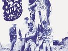 FINAL SOLUTION GARAGE PSYCH LATEST SHADOKS