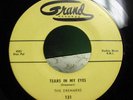 DOO WOP 45 THE DREAMERS ON GRAND TEARS IN MY EYES #131