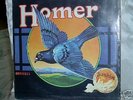 Homer- Grown in U.S.A.   garage psych