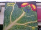 CATAPILLA-CHANGES
