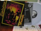 EXPLODING HEARTS  DISKORDS EPOXIES BRIEFS SPITS RAMONES