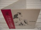 TENJOSAJIKI /Japan psych acid folk avant J.A.Caesar LP