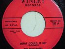 Persuaders Doo Wop 45 Winley 235