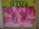 GTO'S - Permanent Damage inc. booklet STRAIGHT LP Zappa