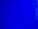 Yves KLEIN  IKB  (International Blue Klein) French 2 LP