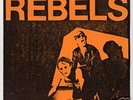REBELS artificial insemination 7