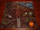 DRAGONFLY orig HEAVY GARAGE FUZZ PSYCH ROCK from 1970