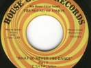 Rare Ohio Funk 45-The Sound Of Vision-House Guess