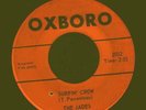 Rare Garage/Surf - The Jades - Surfin' Crow ,Oxboro,'64