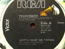 TENDERNESS  GOTTA KEEP ON TRYING  SOUL DISCO 12