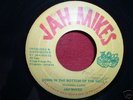 JAH MIKES / DOWN IN THE BOTTOM OF THE WELL
