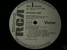 elvis presley -promised land in weiss label als promo
