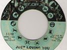 RUBY ANDREWS JUST LOVING YOU DETROIT NORTHERN SOUL 45