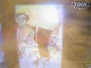 TOOL - PRISON SEX WHITE 12