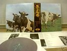 PINK FLOYD ATOM RED VINYL JAPAN W/OBI Initial copy rare