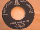 STONE GARDEN : Heavy 1969 Fuzz Psych Garage 45 Fraction