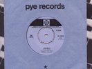 The KINKS Shangrila  V-Rare 1969 Pye 7