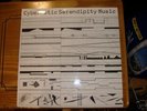  CYBERNETIC SERENDIPITY MUSIC