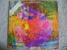LITTER $100 FINE GARAGE FUZZ PSYCH LP ALBUM ORIGINAL