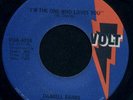 NORTHERN SOUL - DARRELL BANKS â€“ Iâ€™M THE ONE WHO LOV