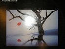 Resistance/ Between two lights LP French New wave