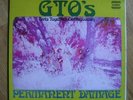 GTO's 69 UK PSYCH lp Permanent Damage *STONE MINT*