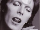 DAVID BOWIE 1947-2005. JPN BOOK glam eno t rex bolan