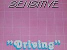 DRIVING SENSITIVE ITALO DISCO MINT GONG RECORDS ITALY