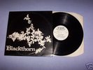 BLACKTHORN--1st LP--RARE FOLK--1977.