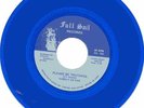 RARE  NORTHERN / MODERN  SOUL  45    FAMILY  OF  EVE