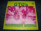 GTO'S Permanent Damage FRANK ZAPPA w/book MINT Psych LP