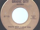 Rare Northern Soul The Professionals Groove City