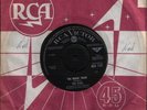 THE FLIES MAGIC TRAIN ORIG RCA 1968 PSYCH ALL EX