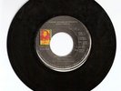 CHANTI/BEAST OF BURDEN - KWAME HESHIMU [ROOTS REGGAE]