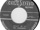 THE CONSUMATES WHAT IS IT STUDIO 1 LISTEN