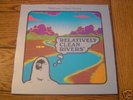 Original Folk Psych Monster LP: Relatively Clean Rivers
