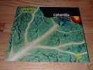 CATAPILLA Changes LP on UK Vertigo Swirl