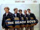BEACH BOYS 45 rpm Picture Sleeve TEN LITTLE INDIANS