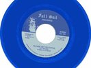 RARE NORTHERN / MODERN SOUL 45  FAMILY OF EVE (LISTEN)