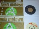 REGGAE / TAMLA - TMG -GREEN DEMOS. NR .6  RECORDS