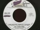 MISSOURI Garage 45-THE AARDVARKS-Subconcious Train-ARCH