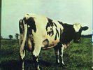 Pink Floyd Atom Heart Mother Limited MFSL Audiophile LP