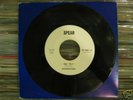Mosquitoes - The Fly (latin boogaloo) 45 LISTEN pow wow