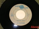 NORTHERN SOUL 45- THE SHADDOWS -Together Again