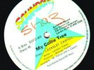 LACKSLEY CASTELL-MY COLLIE TREE 12