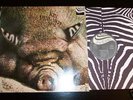 LP KIN PING MEH No. 2 GERMAN 1st PRESS ZEBRA OIS