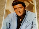 Elvis 