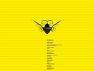 COCOON COMPILATION D