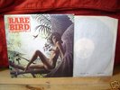 RARE BIRD ORIGINAL 1970 UK CHARISMA 1st 'SYMPATHY'